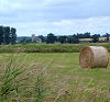 Fields at Blyford