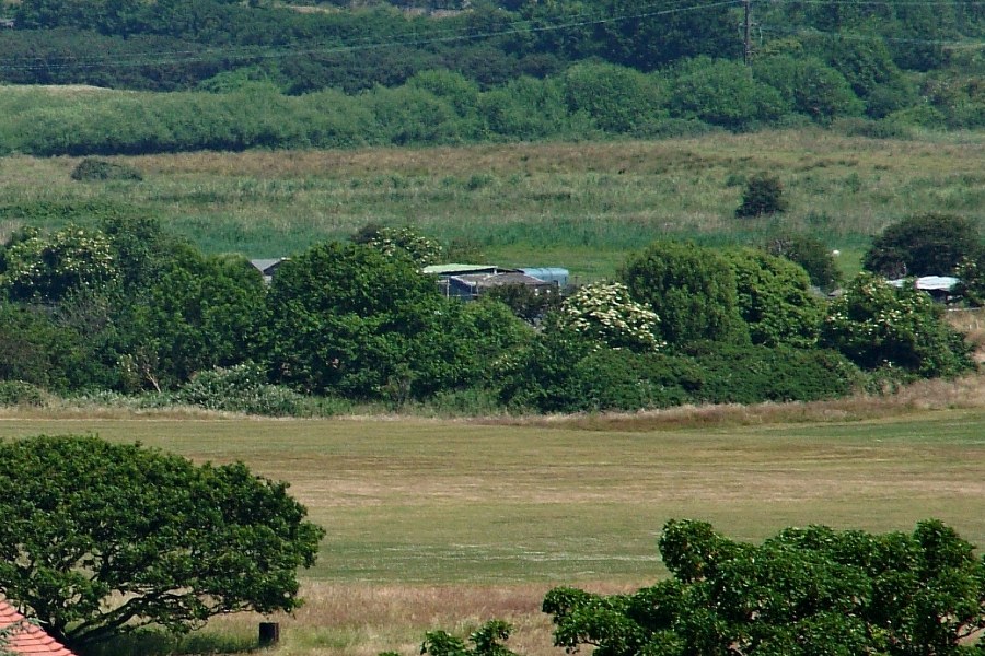 Nearby wetlands at Buss Creek