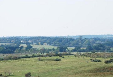 Southwold is surrounded by idyllic Suffolk countryside